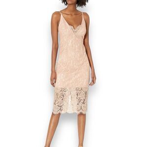 Bardot Blush Lace Sheath Mini Dress Women’s size 10